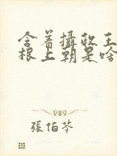 含着摄政王的紫根上朝是啥小说