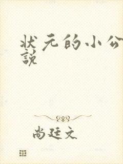 状元的小公主小说