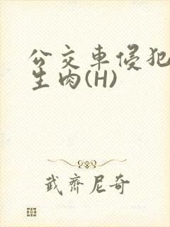 公交车侵犯小男生肉(H)