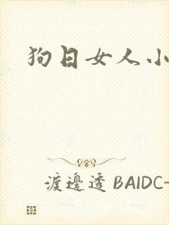 狗日女人小说