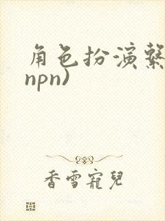 角色扮演系统(npn)