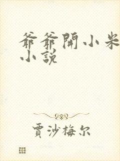 爷爷开小米的包小说