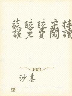 苏皎皎宋持的小说免费阅读