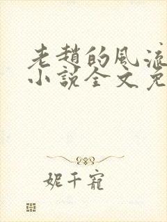 老赵的风流人生小说全文免费阅读