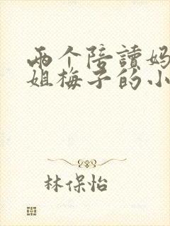 两个陪读妈妈赵姐梅子的小说