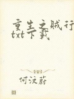 重生之贼行天下txt下载