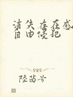 消失存在感消失自由侵犯