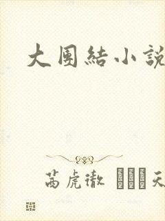 大团结小说全文