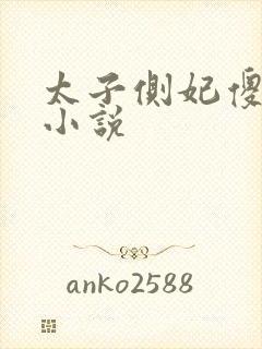 太子侧妃傻乎乎小说