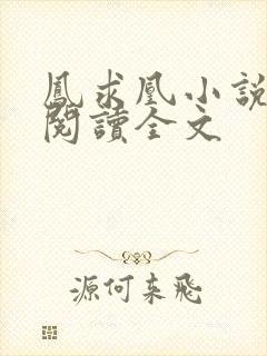 凤求凰小说免费阅读全文