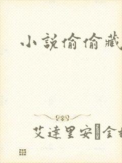 小说偷偷藏不住