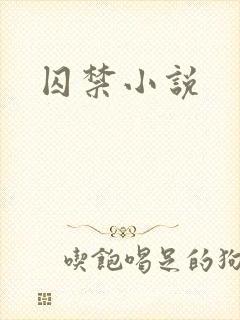 囚禁小说