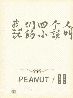 我们四个人换着玩的小说叫什么