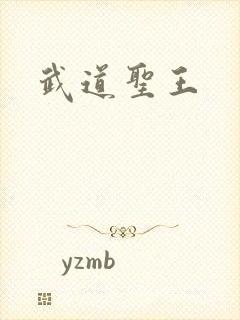 武道圣王
