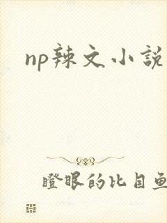 np辣文小说