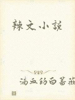 辣文小说