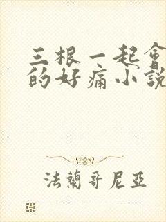 三根一起会坏掉的好痛小说