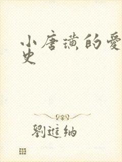 小唐璜的爱情历史