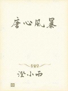 唐心风暴