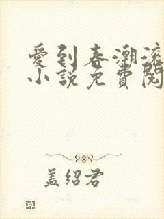 爱到春潮滚滚来小说免费阅读