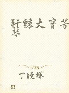 轩辕大宝芳菲雅琴