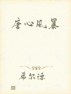 唐心风暴