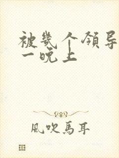 被几个领导玩弄一晚上