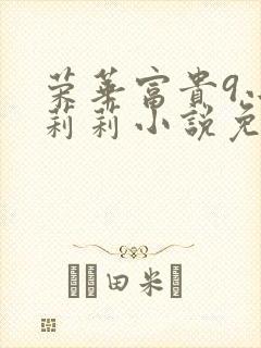 荣华富贵9小王莉莉小说免费阅读