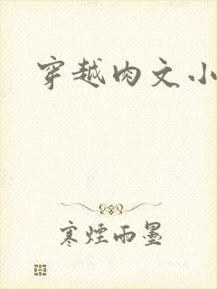 穿越肉文小说