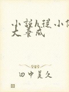 小说h从小做到大养成