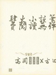 肆火小说笔趣免费阅读无弹窗