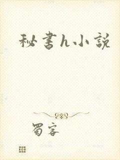 秘书h小说