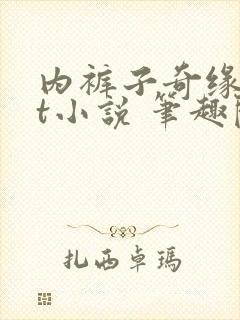 内裤子奇缘txt小说 笔趣阁