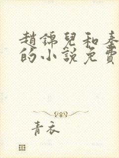 赵锦儿和秦慕修的小说免费阅读全文