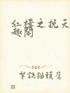 红楼之挽天倾笔趣阁