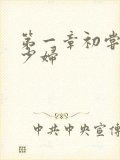 第一章初尝极品少妇