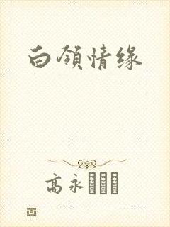 白领情缘