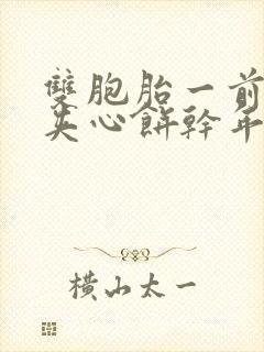 双胞胎一前一后夹心饼干年下