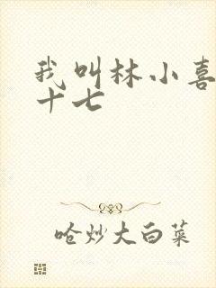 我叫林小喜今年十七