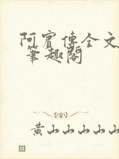 阿宾传全文阅读 笔趣阁