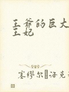 王爷的巨大进入王妃