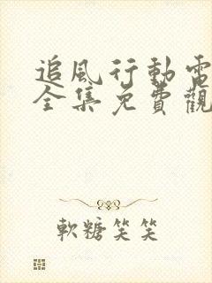 追风行动电视剧全集免费观看