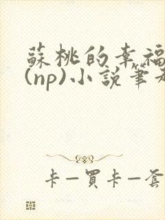 苏桃的幸福生活(np)小说笔趣阁沐沐