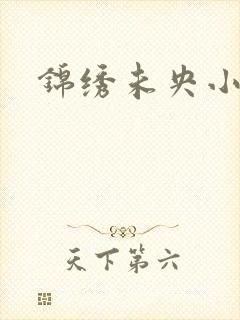 锦绣未央小说