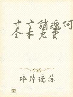 寸寸销魂何生祥全本免费