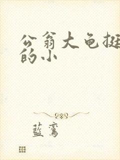 公翁大龟挺进我的小