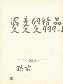 国产69精品久久久久999小说