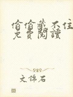 偷偷藏不住小说免费阅读