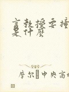 言教授要撞坏了是什么