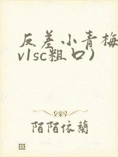 反差小青梅(1v1sc粗口)